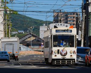 Okayama Cat train!