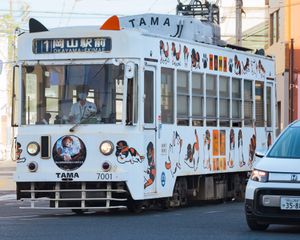 The Okayama Cat Train
