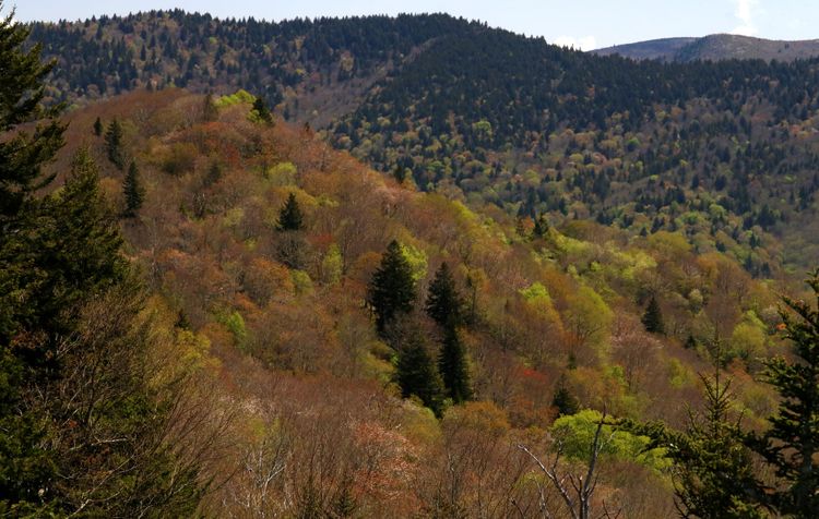 High Country Spring