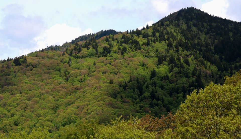 2024 Spring Season Overview (free)