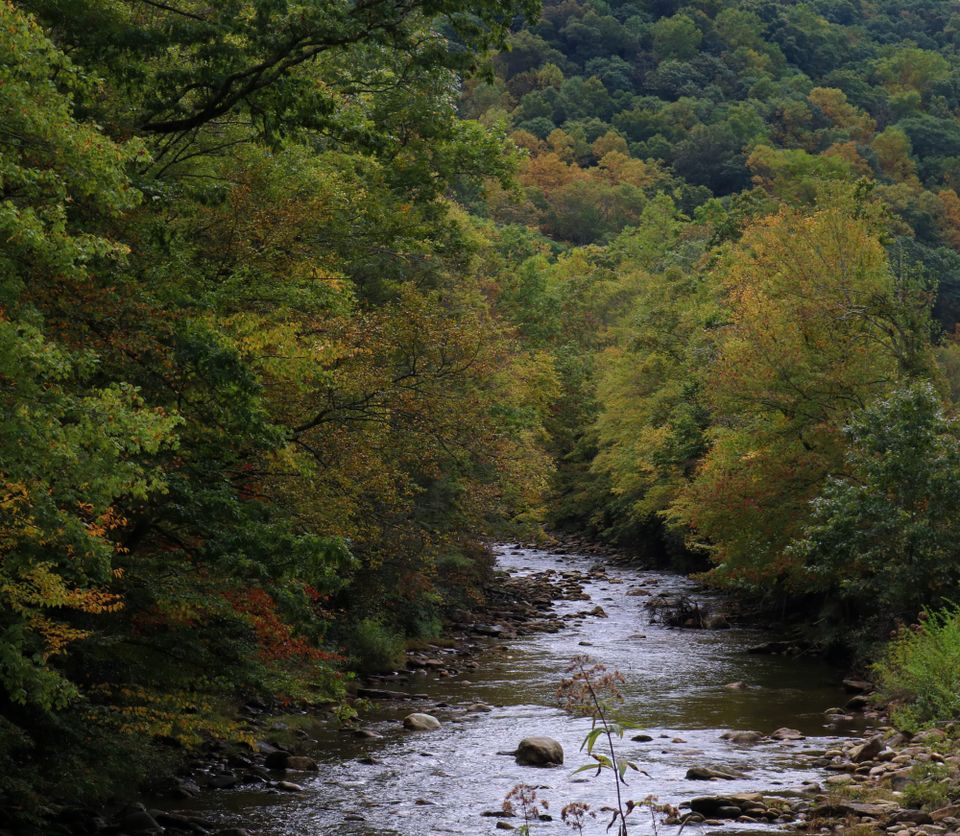 Color Update; Sep 28th