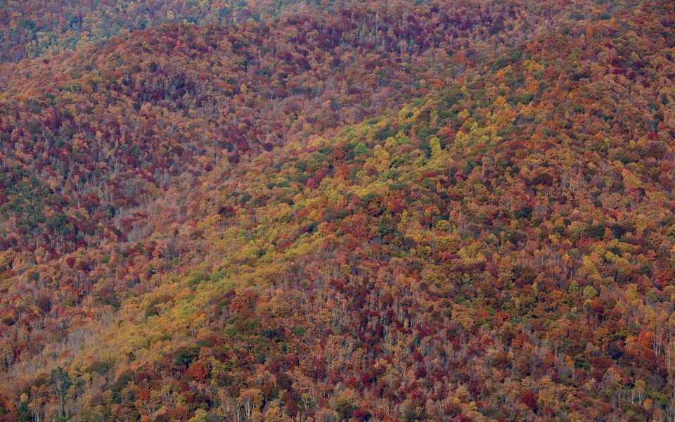 Second Peak