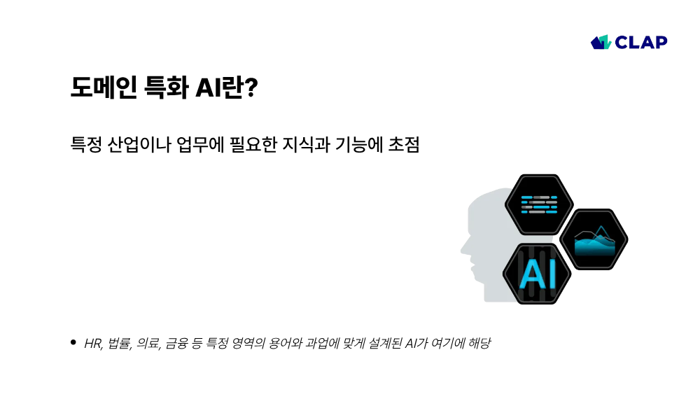 도메인 특화 AI란?