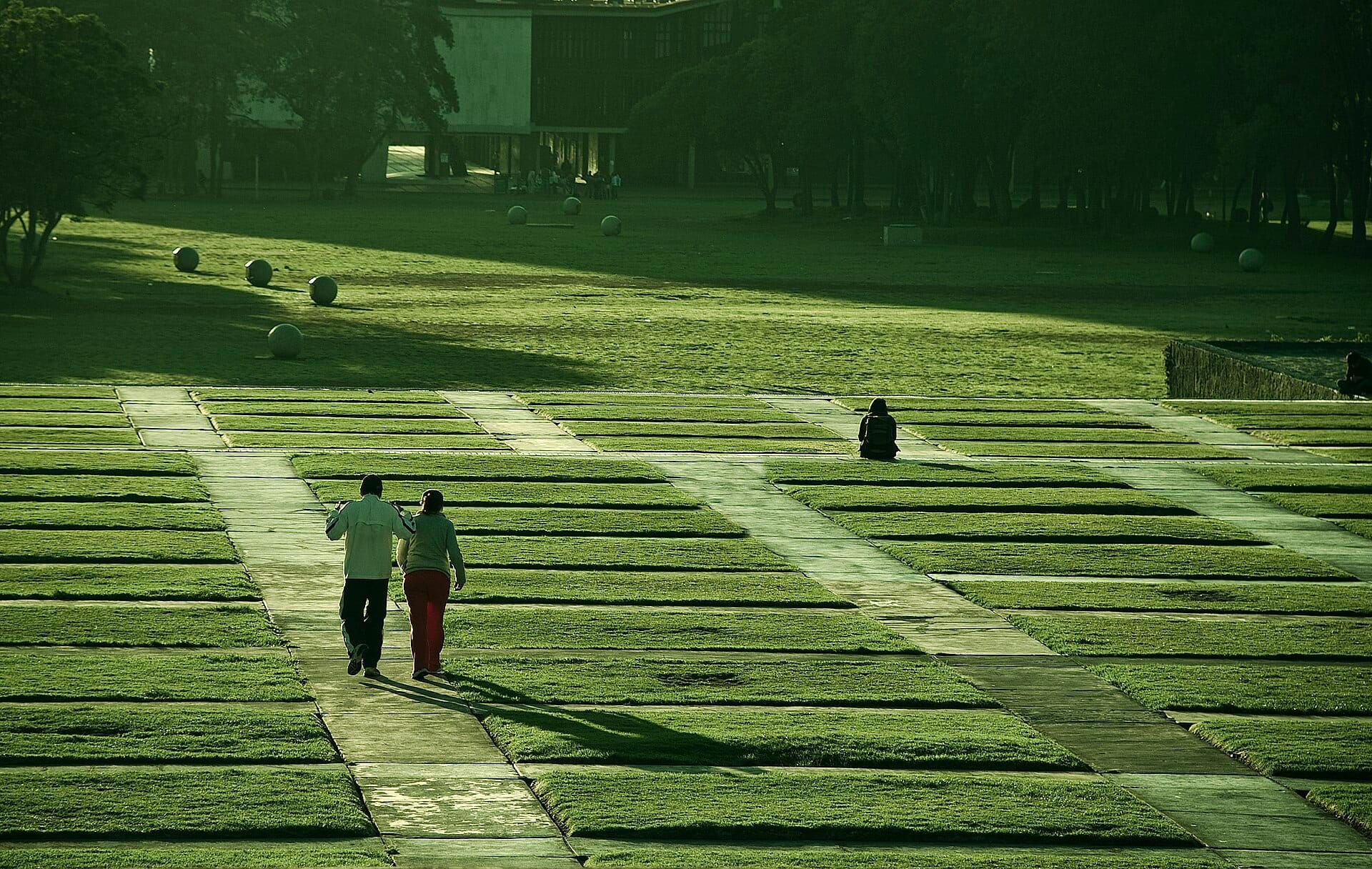 Gardens at Ciudad Universitaria, UNAM, Mexico City