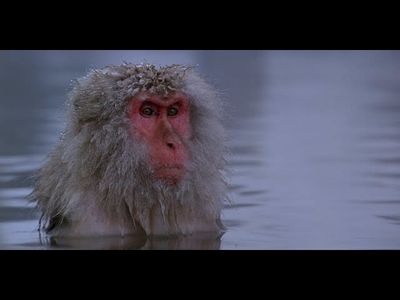 The 30-year-old track that became a digital confessional