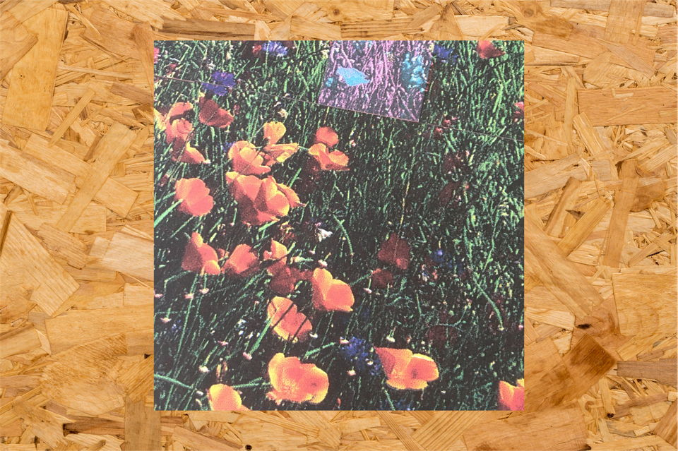 "Unrealized" (Pt. 2) by Jeff McLaughlin in support of Bridge of Solidarity