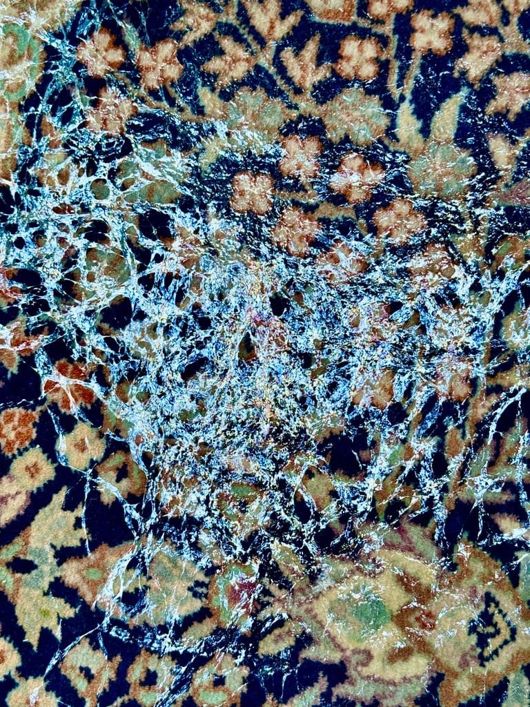 Drunken Snail, or Maybe Lost!