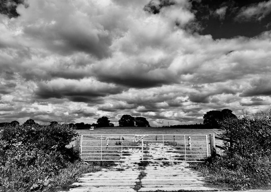 Road to Nowhere