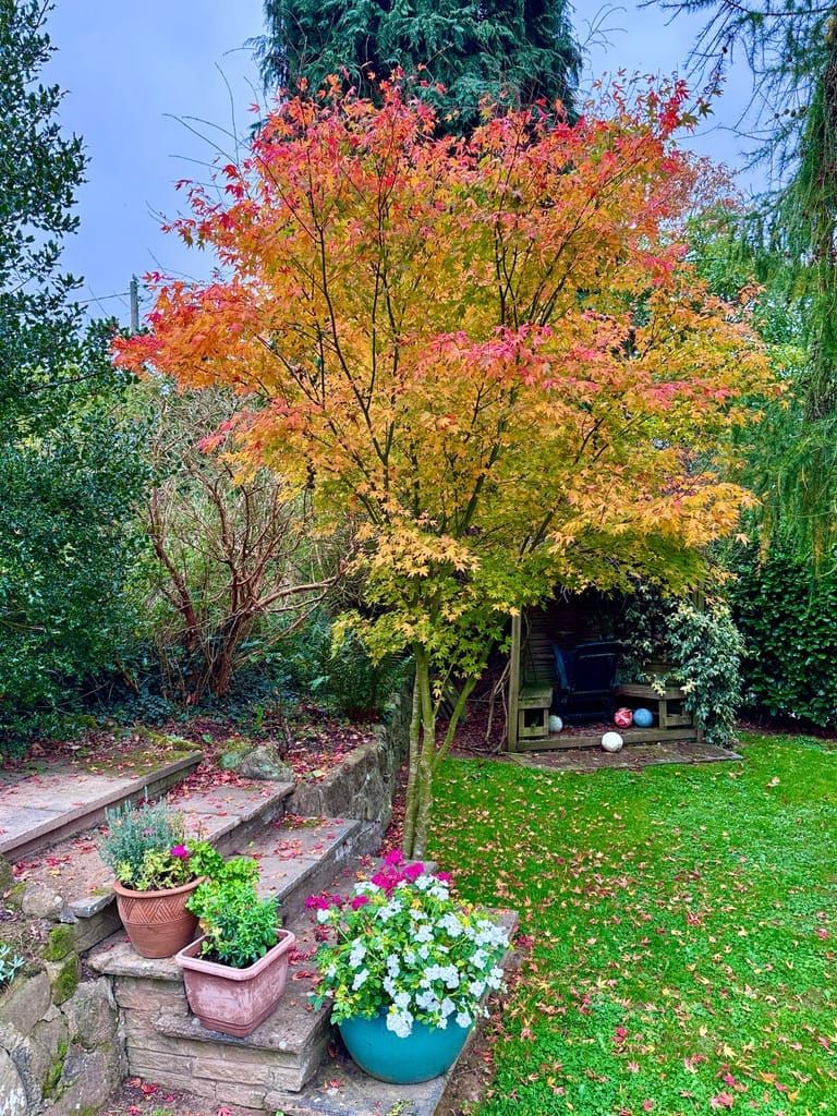 Winter approaches, footballs at the ready.