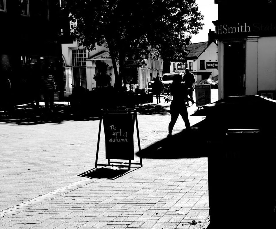 Sunny Autumn Morning