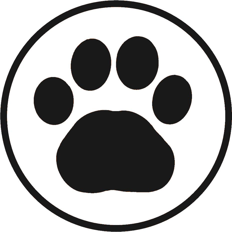 Chris’s profile image