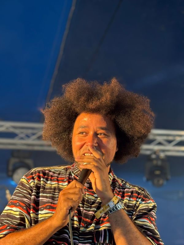 Truck Festival Recap