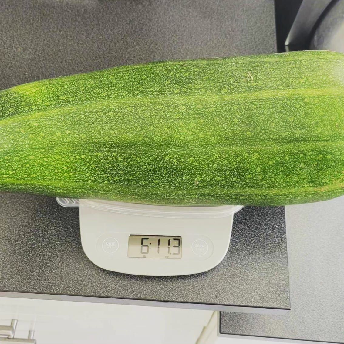 FLASHBACK: I Once Grew a Zucchini That Weighed Almost 7 LBS!