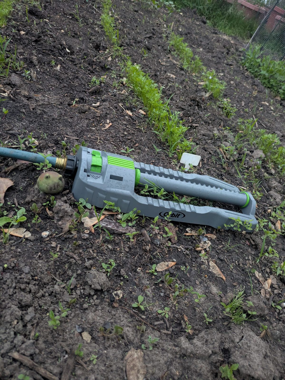 Beat the Summer Heat: Why Morning Hydration Is Key For Minnesota Veggie Gardens