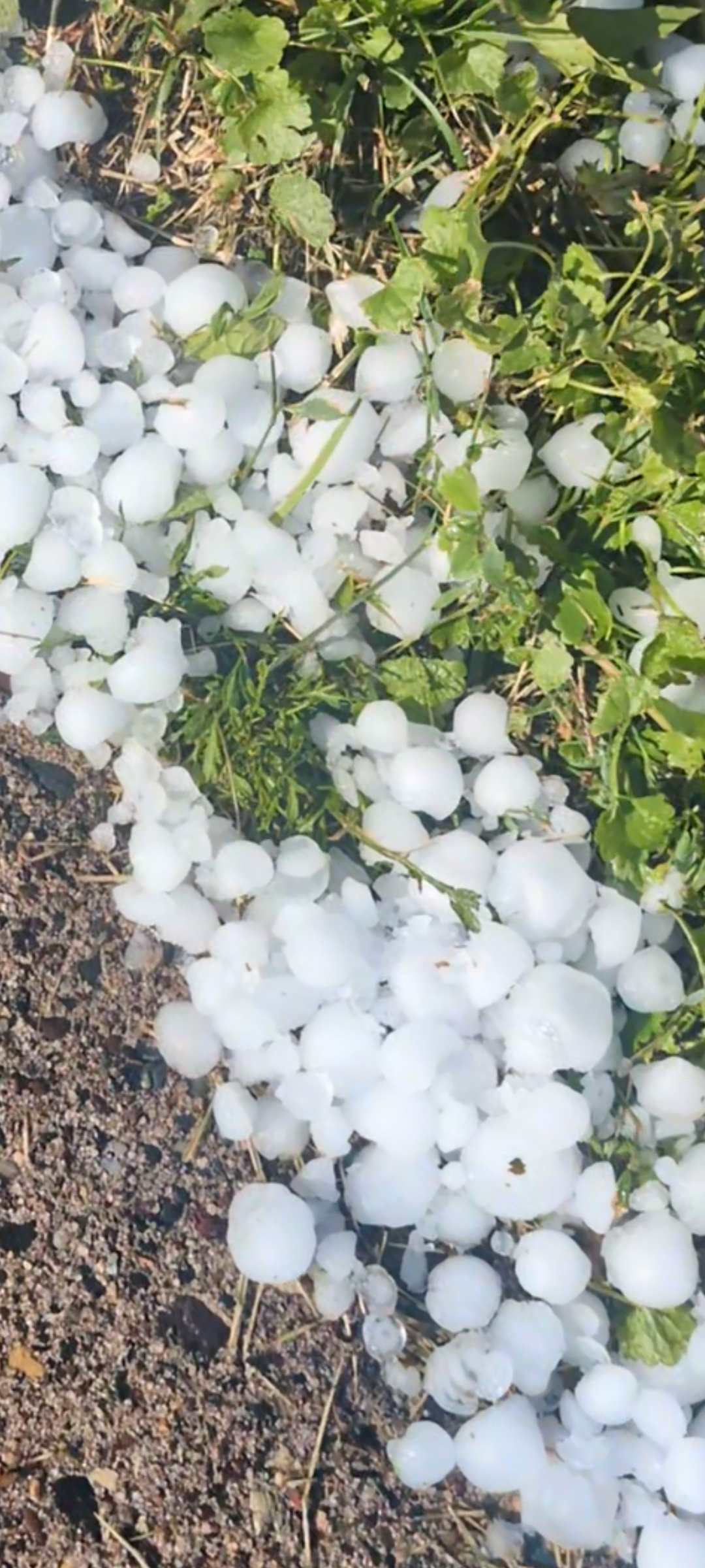 BREAKING: Big HAIL Storm Hits St. Paul's East Side Friday Night