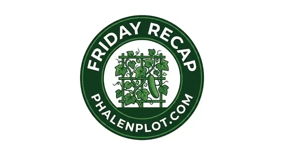Friday Recap: Cucumbers Galore, Bolting Broccoli & A Very BERRY Update