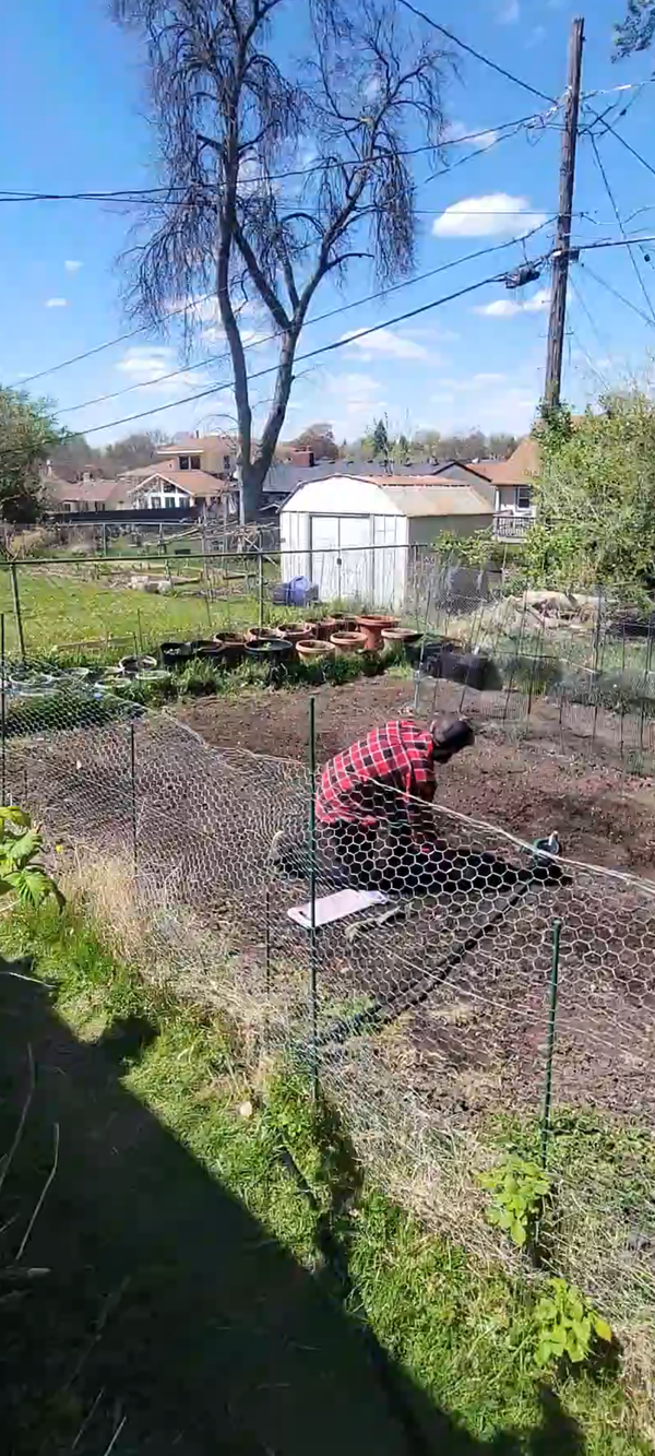 3-Minute Timelapse: Planting My Garden on St. Paul's East Side!