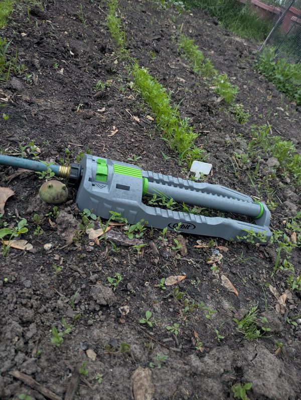 Beat the Summer Heat: Why Morning Hydration Is Key For Minnesota Veggie Gardens
