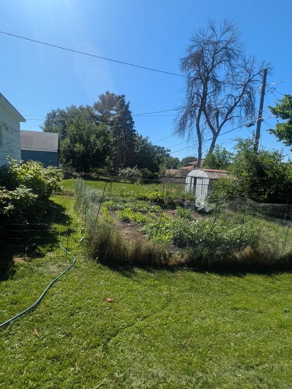 Sunday FUNDAY! Garden Updates Galore