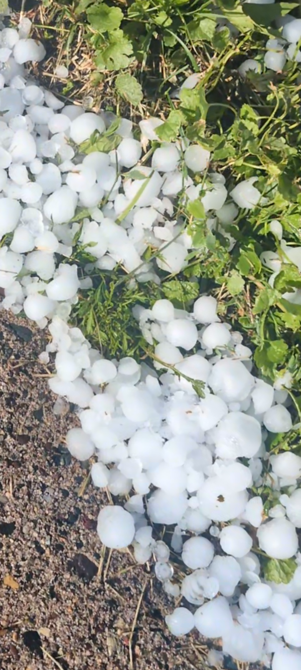 BREAKING: Big HAIL Storm Hits St. Paul's East Side Friday Night