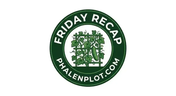Friday Recap: Cucumbers Galore, Bolting Broccoli & A Very BERRY Update