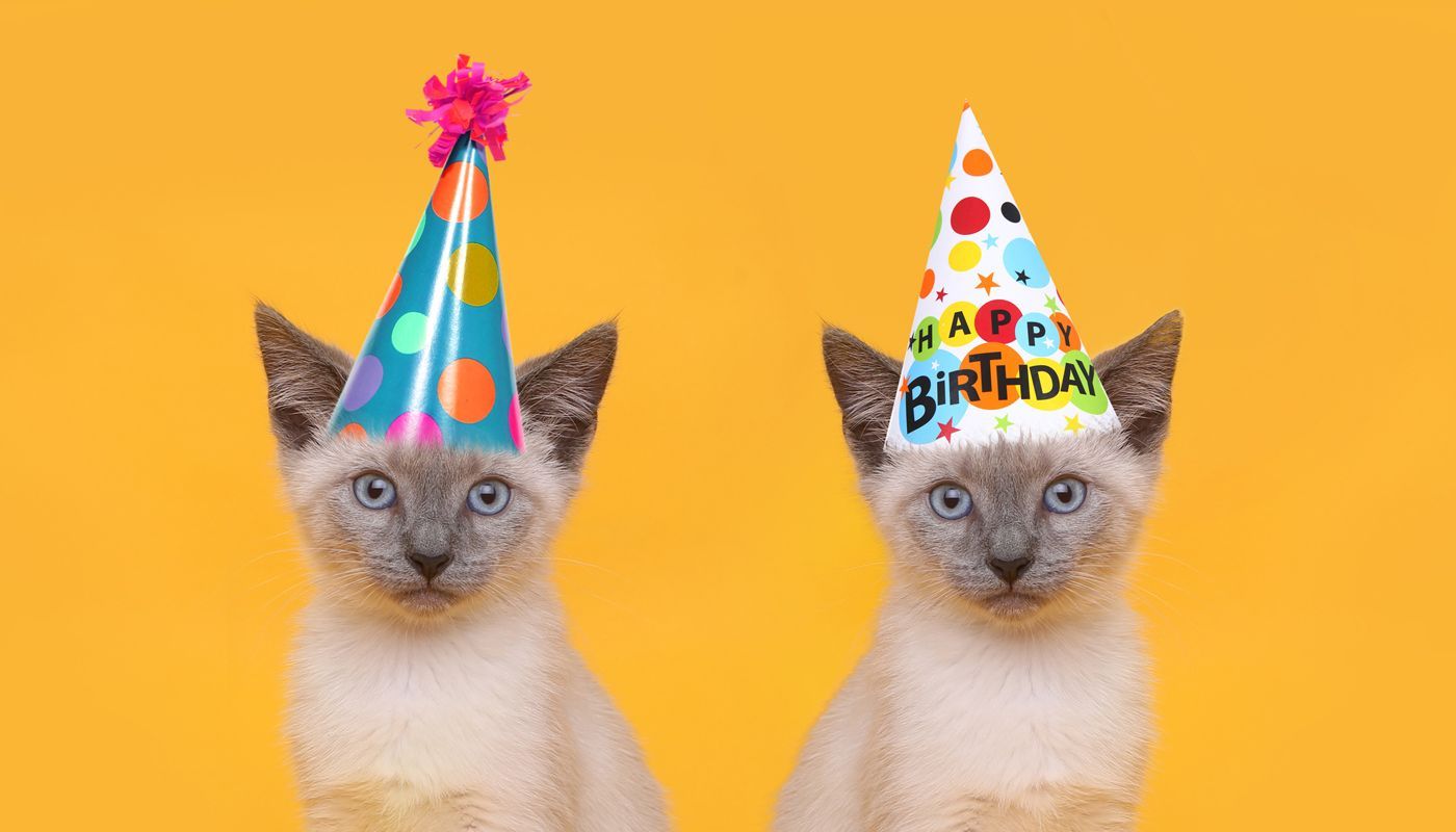 Kära internet, grattis på 50-årsdagen!