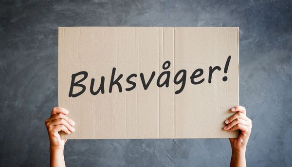 #6 Rätten att få säga "buksvåger"