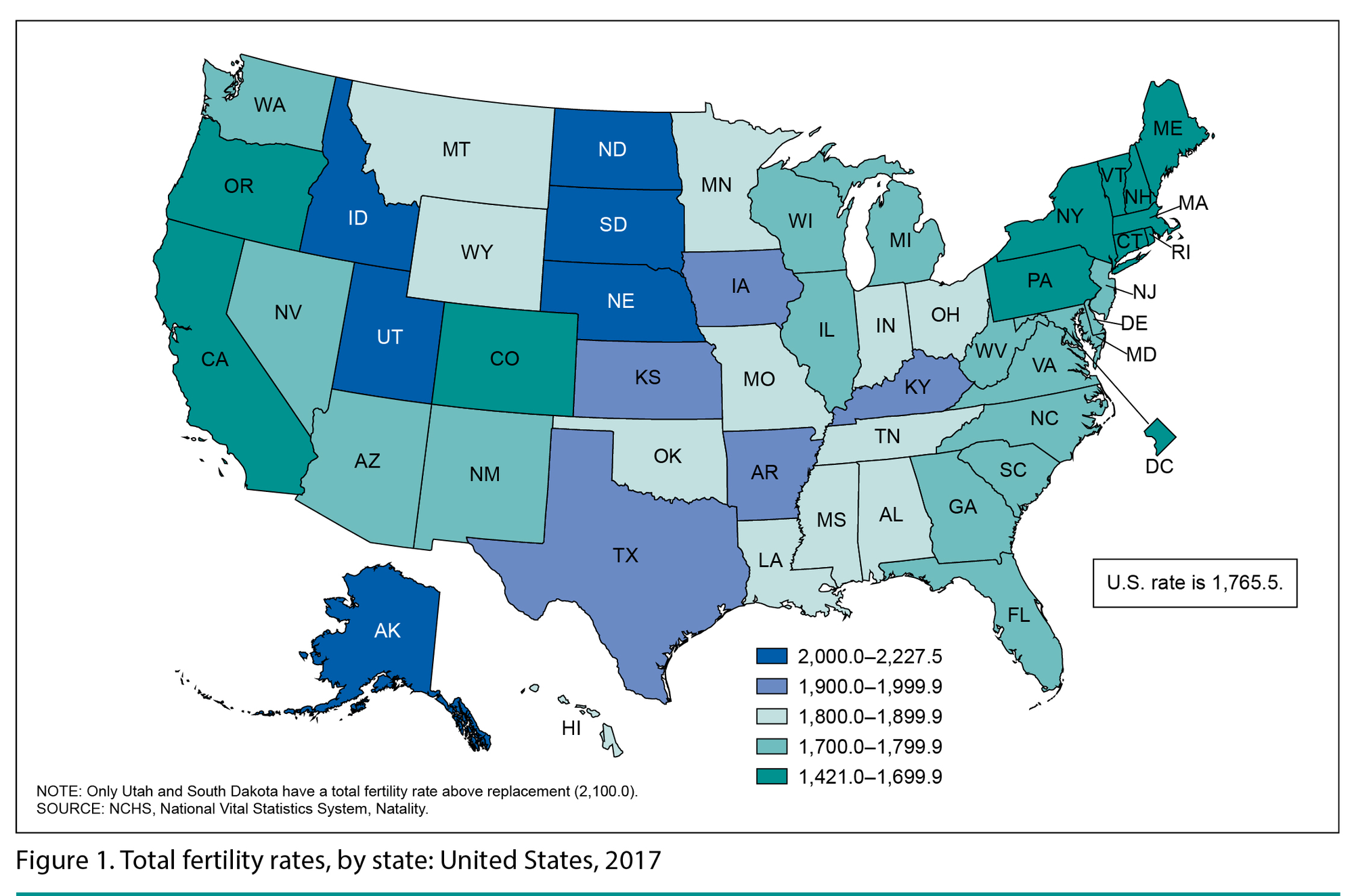 Total fertility rates by state