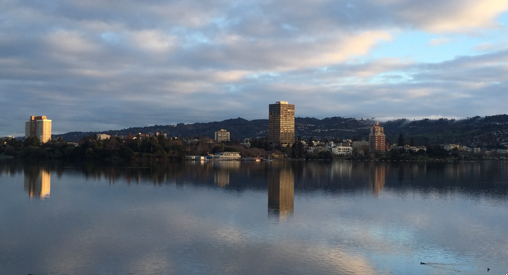 Oakland Observer Winter Break