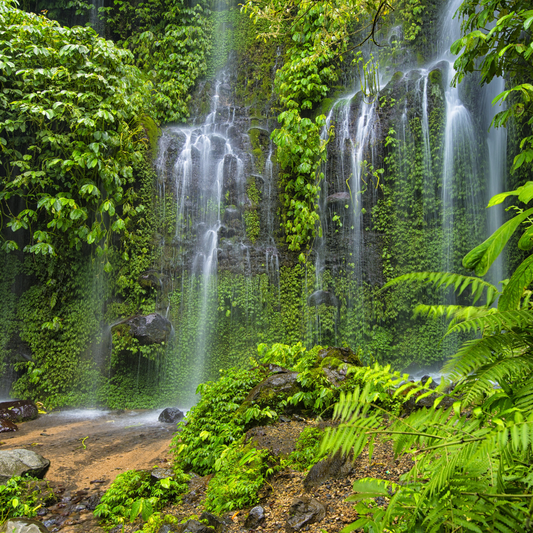 All Inclusive Burnout Reset Retreat in Kuta Lombok