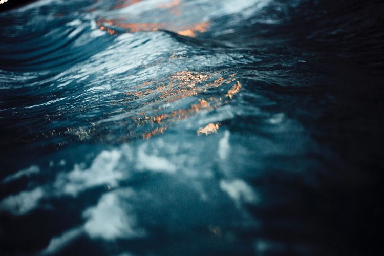 Radical Love and Gratitude