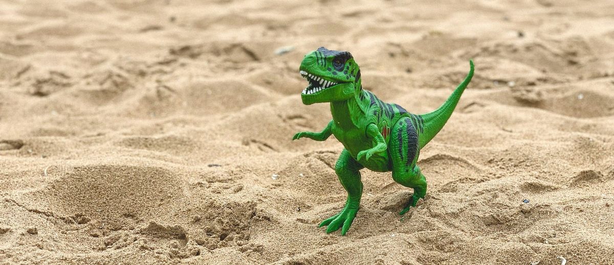 Don't Lose Your Dinosaur