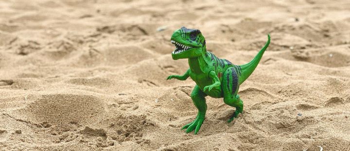 Don't Lose Your Dinosaur