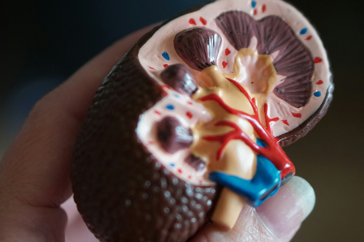 Filspari wins first FDA nod for FSGS Proteinuria