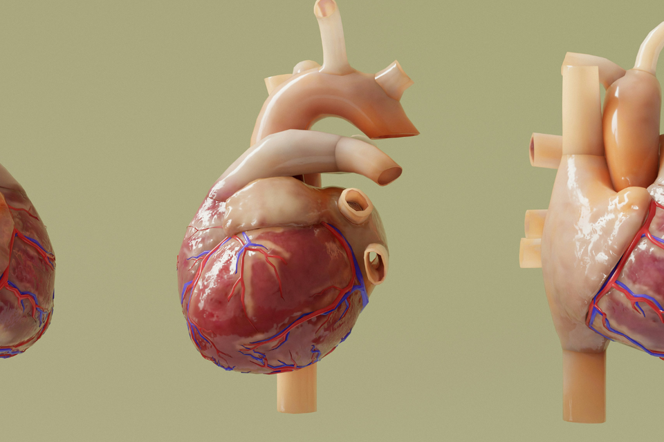 NICE positions semaglutide in cardiovascular prevention