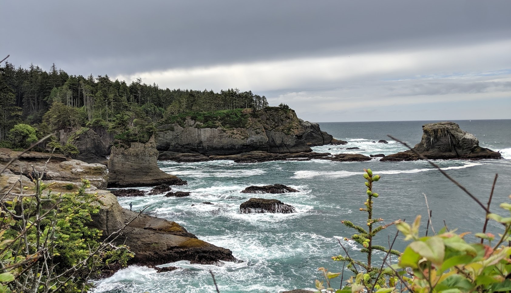 MVIMG_20190525_124715