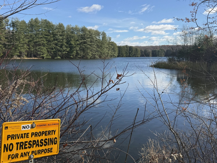 FAIRFIELD CIVIC ROUNDUP