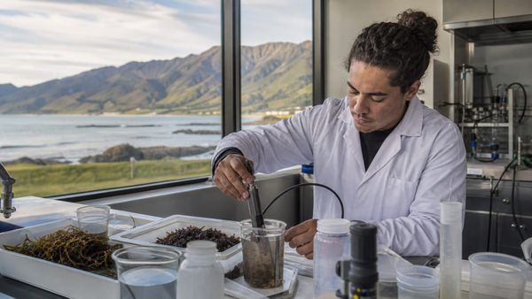 Estudante internacional caminha em campus universitário de Auckland rumo à carreira