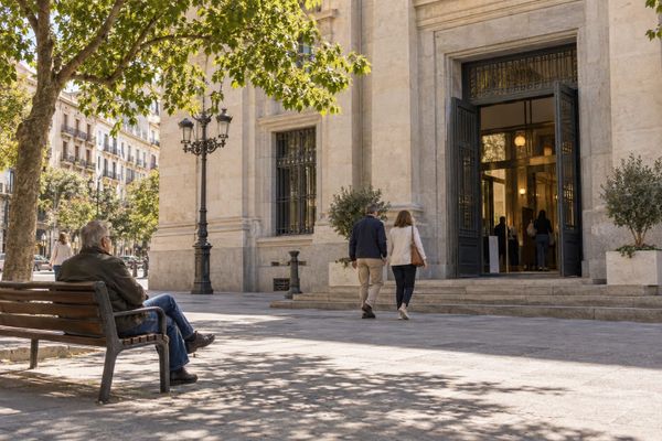 Pessoas se aproximam da entrada de um edifício público de pedra clara em uma rua espanhola arborizada.