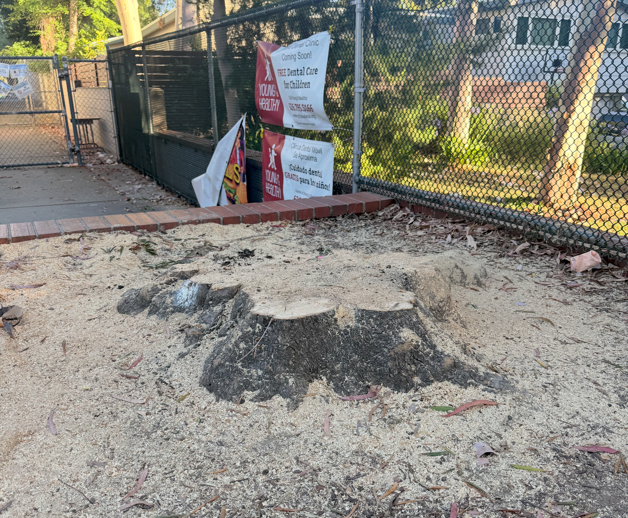 PUSD's $6.6 Million Soil Cleanup Has No Confirmed Funding - District Is Drowning in Debt
