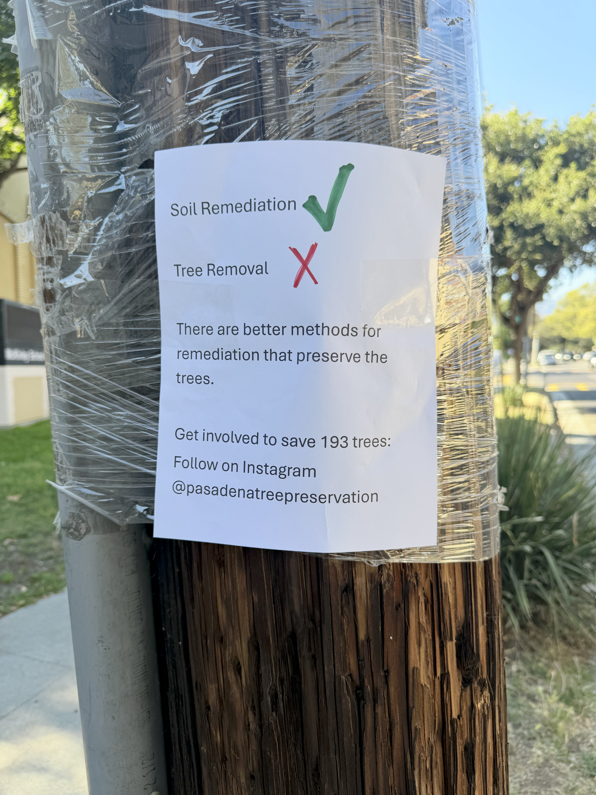 tl;dr on PUSD's Tree Removal Project