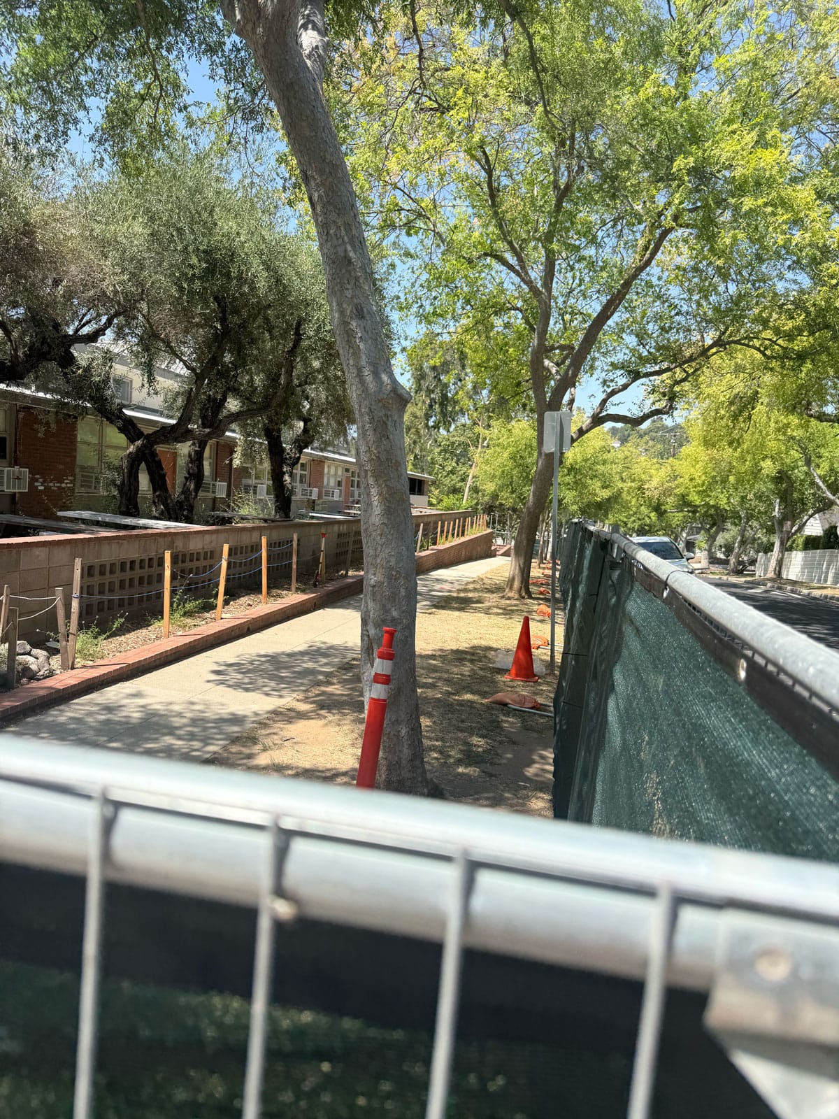 KCRW's All Things Considered covers PUSD tree crisis