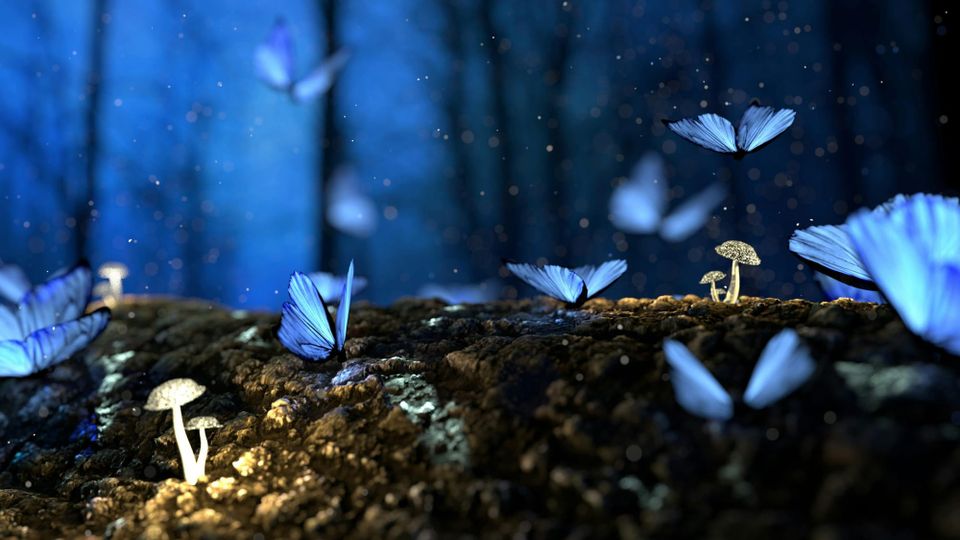 Becoming: From Maria to Moriyah