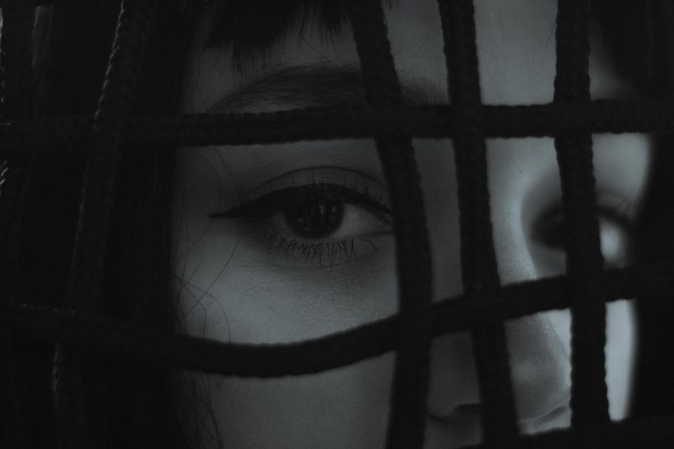 Honoring My Voice