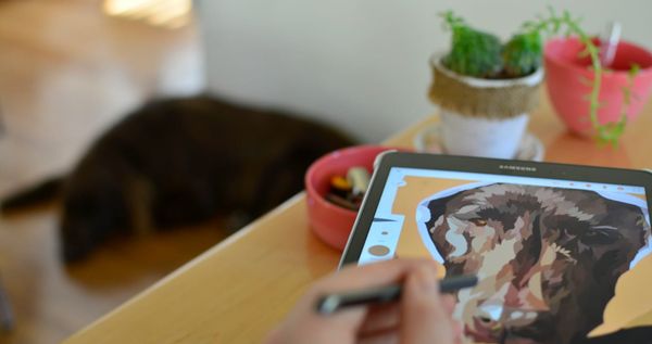 Design Like a Pro: Top 5 Canva Tips for Nonprofit Newbies