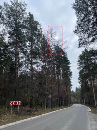 Зображення, що містить просто неба, небо, дорога, хмара

Автоматично згенерований опис