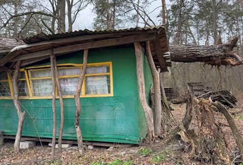Зображення, що містить просто неба, дерево, Халупа, хата

Автоматично згенерований опис