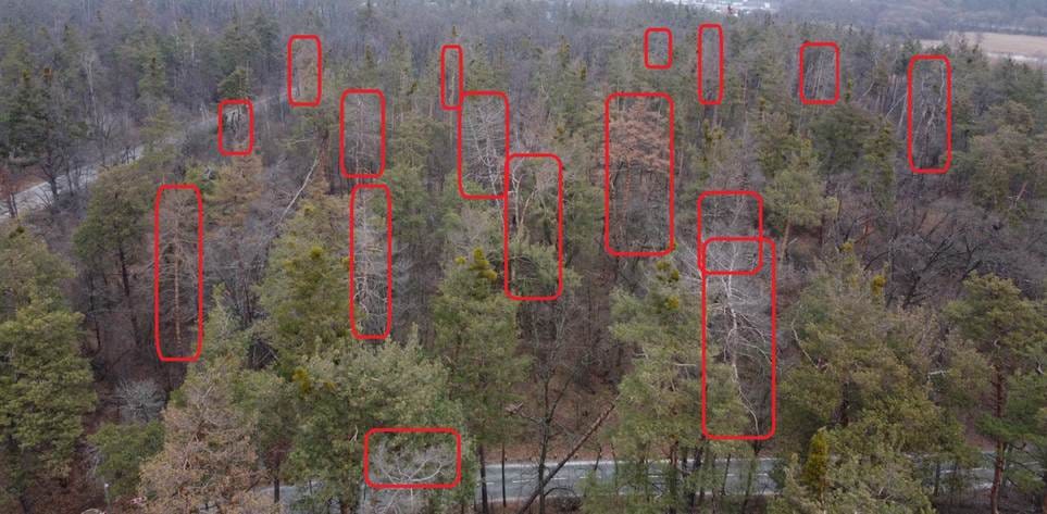 Зображення, що містить просто неба, дерево, небо, гора

Автоматично згенерований опис