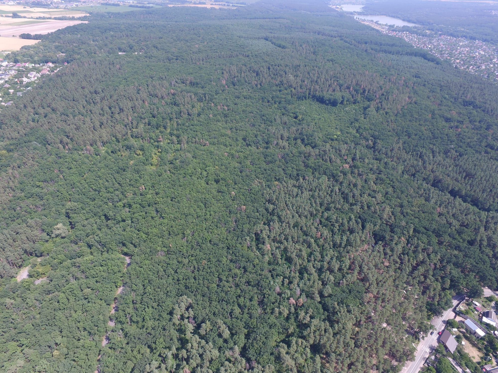 Підсумки 2024 року: лісогосподарська та виробнича діяльність