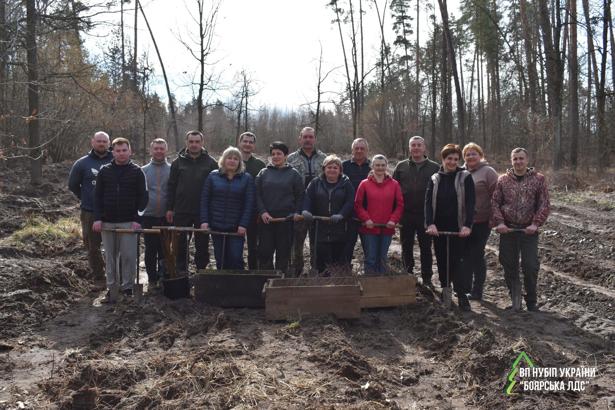 Відтворення лісу на території Боярської лісової дослідної станції